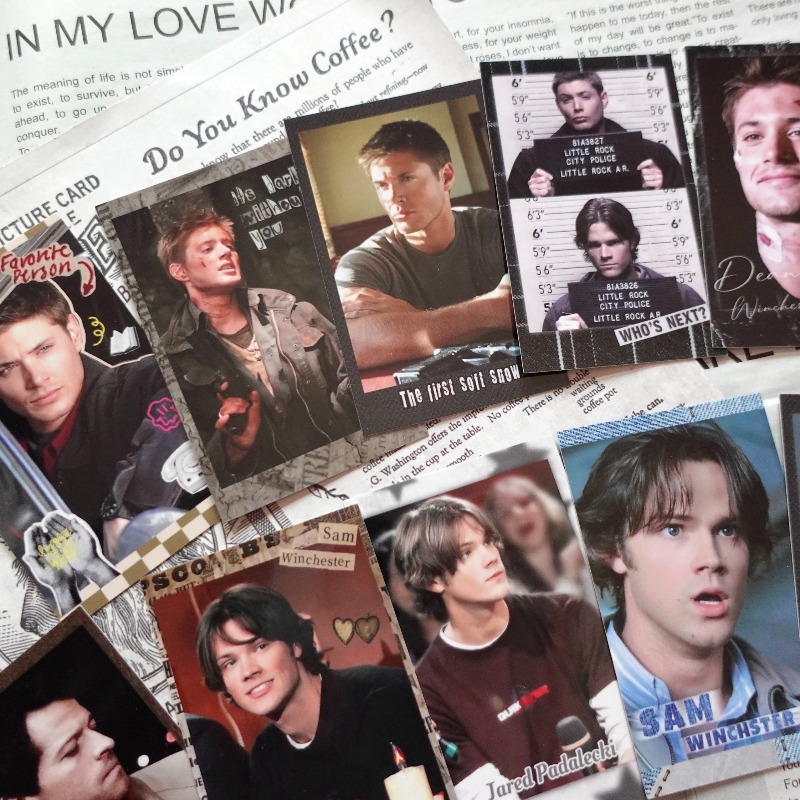 Supernatural SPN Dean & Sam Vi - Vintage Collectible Show incelemesi ve fiyatı